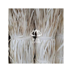Guirlande de feuilles de palmier Corypha Lecomtei séchées Blue Lotus 100% naturelles, décoration intérieure et extérieure toutes saisons, salon - Product Image 1