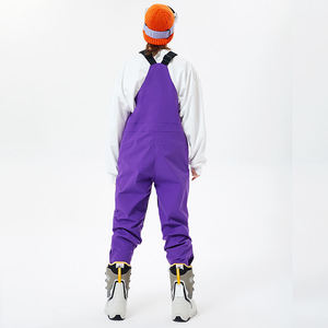 Pantalon de ski imperméable pour femme, salopette de snowboard, combinaison de sport d'hiver, salopette de ski isolée pour femme, imperméable - Product Image 5