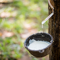 NGOC CHAU Latex Liquide Naturel Blanc Haute Pureté 60% DRC Qualité Revêtement Haute Teneur en Ammoniac Fût de 205KG Bon Prix