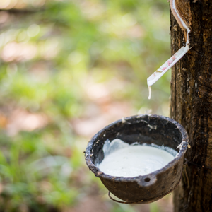 NGOC CHAU Latex Liquide Naturel Blanc Haute Pureté 60% DRC Qualité Revêtement Haute Teneur en Ammoniac Fût de 205KG Bon Prix - Product Image 4