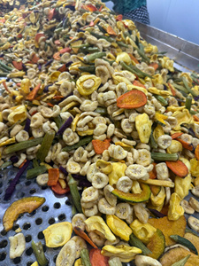 Mezcla de Frutas y Verduras Deshidratadas: Mango, Piña, Plátano, Jaca, Okra, Melón Amargo, Calabaza, Judías Verdes. Proveedor de Vietnam, OEM. - Product Image 1