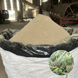 Precio competitivo de fábrica en Vietnam, alimento para ganado de primera calidad, polvo de cáscara de piña a granel, el más vendido. - Product Image 1