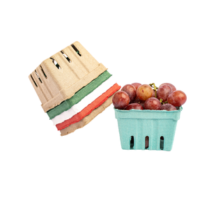 Emballage Apple écologique, barquette en pulpe moulée compostable anti-casse, barquette pour fruits frais, fabricant vietnamien, boîtes en papier - Product Image 5