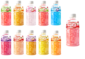 ¡OFERTA ESPECIAL! OEM/ODM Datafa Nata De Coco 330ml Botella de Puré de Frutas y Verduras, Marca Privada, Muestra Gratuita, Vietnam - Product Image 3