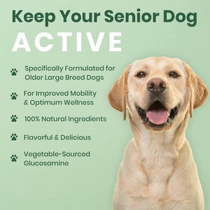 ADINS International Glucosamine pour les articulations des hanches, saveur chanvre et saumon, comprimés multivitaminés pour chiens et chats de tous âges, soutien immunitaire, santé des articulations - Product Image 3