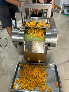 Mangues séchées de qualité supérieure, fruits séchés pour la pâtisserie, la cuisine et la décoration de desserts, doux et moelleux, en vrac, origine Vietnam - Product Image 3