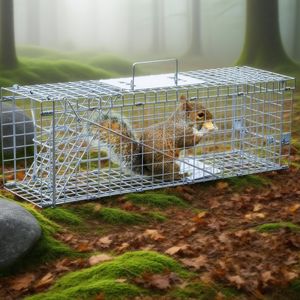 Набор гуманных ловушек для живых животных для гуманного вылова грызунов, маленьких кошек, кроликов, белок, опоссума, сквайра, енота - Product Image 3