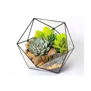 Premium Indoor Garden Metal Terrarium Glass Plant Holder Decorative Geometric <b>Display</b> <b>Case</b> Home Interior Accent - Product Image 1