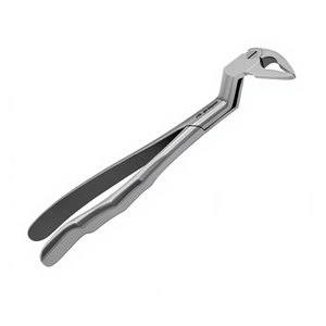 Pinzas de Extracción Microquirúrgicas, Instrumentos Dentales Quirúrgicos, Acero Inoxidable de Grado Alemán, Extracción de Dientes de Precisión, Cirugía Oral - Product Image 2
