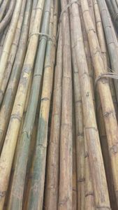 Vietnamese rattan export Raw & Natural Rattan Sticks - Product Image 6