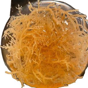 Cottonii สาหร่ายทะเลแห้ง/สาหร่าย Eucheuma cottonii - Product Image 1