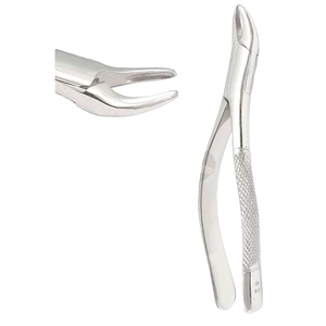 Cao cấp nhãn hiệu nha khoa chiết xuất forceps #<span class=keywords><strong>62</strong></span> Chất lượng cao thép không gỉ chuyên nghiệp dụng cụ phẫu thuật MOL cho răng - Product Image 1