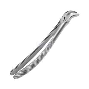 Pinzas de Extracción Dental Anteriores Inferiores, Pinzas de Extracción de Dientes Quirúrgicas de Acero Inoxidable, Herramienta de Cirugía Oral - Product Image 2