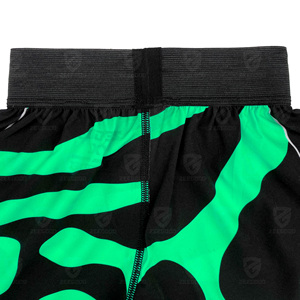 Meilleures ventes Nouveauté 2026 Shorts de boxe tendance en gros Shorts d'entraînement Muay Thai MMA Shorts Muay Thai pour enfants 2026 - Product Image 5