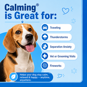 Masticables Calmantes para Perros y Gatos, Suplementos Naturales para Mascotas para el Alivio del Estrés y la Relajación, Fabricante de Empaques Personalizados al por Mayor OEM ODM - Product Image 6