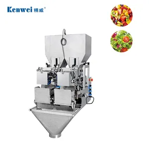 Máquina Automática de Llenado y Empaquetado Lineal de Dos Cabezales con Cinta Transportadora y Motor para Envasado de Alimentos, Verduras y Ensaladas en Film - Product Image 1