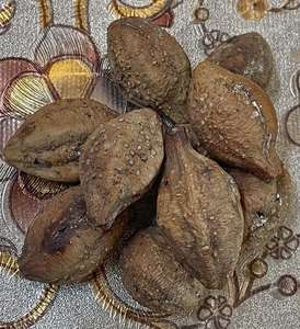 ตัวแทนหนังอ่อน myrobalan - Product Image 4