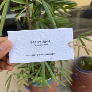 New Exclusive Design Biodegradable Plantable Gift Tags for Wedding Favors Tags with String for Clothing and Branding Tags 2026 - Product Image 1