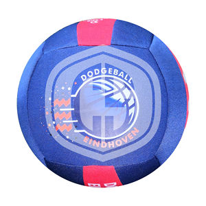 Ballons de volley-ball professionnels de qualité supérieure, taille standard, cousus à la machine, personnalisables avec logo, pour matchs et entraînements en extérieur. - Product Image 2