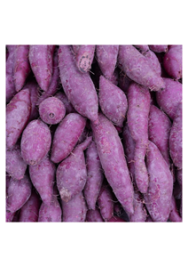 Batata Congelada Premium Procesada a partir de Cosechas Frescas con Empaque Flexible y Servicios de Marca Privada - Product Image 6