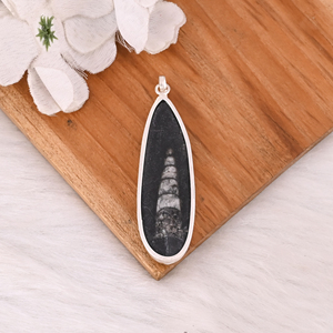 Pendentif en argent sterling 925 massif, pierre précieuse fossile Orthoceras, pendentif long fait main, pendentif en argent de créateur, cadeau d'anniversaire - Product Image 5