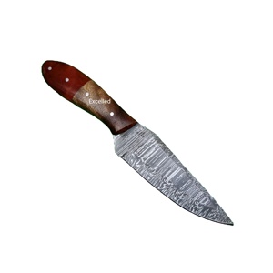 Cuchillo desplumador de caza de acero de Damasco de alta calidad hecho a mano personalizado con mango de madera y resina, cuchillos para exteriores, Funda de cuero gratis - Product Image 1