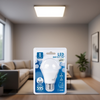 Ampoule LED A60 E27 7W 6400K Lumière du jour 595 Lumens Grand angle 25000H