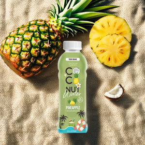 Venta caliente 500ml Listo para beber Agua de coco Deliciosos refrescos Agua de coco filtrada pura natural - Product Image 4