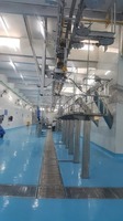 Machine de Découpe de Bœuf Avancée en Promotion pour la Production de Viande dans les Usines de Transformation Alimentaire Disponible au Meilleur Prix du Marché