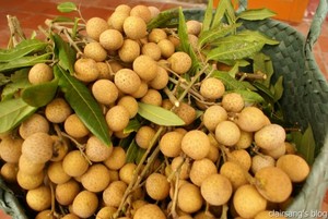 ลำไยเวียดนามแช่แข็ง IQF คุณภาพเยี่ยม – รสหวานฉ่ำ หวานธรรมชาติ // คุณทอม - Product Image 2