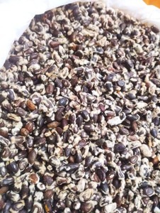 Graines de coton de qualité supérieure |   Graines de coton brutes |   Graines de coton de qualité alimentaire |   Fournisseur en gros de graines de coton |   Reen Traders |   Uttar Pradesh - Product Image 2