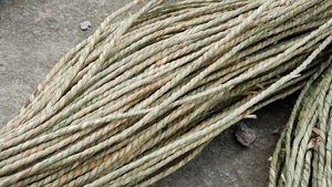 Corde en jonc de mer naturel du Vietnam, écologique, en fibres torsadées, vente en gros, exportation directe usine - Product Image 5