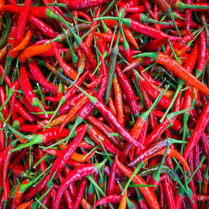 Piment rouge séché de qualité supérieure, entier, séché à l'air (AD), sans tige, standard d'exportation, épices simples, herbes, FitTree - Product Image 1