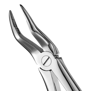 Pinzas de Extracción Dentales de Acero Inoxidable con 51 Puntas Dentadas para Extracción de Raíces, Instrumento Quirúrgico Dental, Herramienta para Extracción de Dientes - Product Image 6