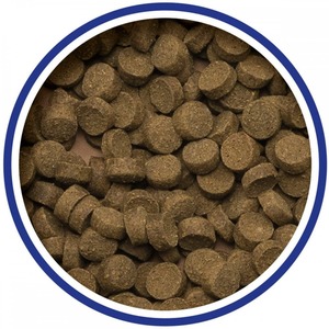 Aliments pour poissons en granulés de qualité supérieure, formule riche en protéines, conditionnés en vrac pour l'alimentation des étangs et le soutien de la croissance en ferme - Product Image 2