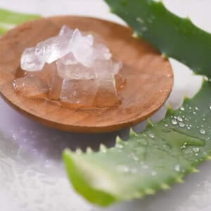 PULPA DE ALOE VERA CONGELADA CERTIFICADA ORGÁNICA EN GRAN CANTIDAD - Product Image 1