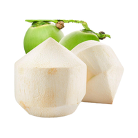 Pulpa de Coco Joven Vietnamita Fresca con Corte Diamante - Coco Premium para Beber, Listo para Exportar, Suministro a Granel
