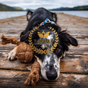 เชือกมะพร้าวสำหรับร้านขายสัตว์เลี้ยงแบบเคี้ยวเป็นมิตรกับสิ่งแวดล้อม - Product Image 6