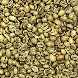 Granos de Café Verde Robusta de Vietnam, Totalmente Lavados, Crudos, a Granel, Calidad de Exportación, Proveedor de Café - Product Image 3