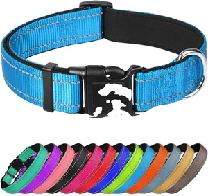 थोक उच्च गुणवत्ता नायलॉन समायोज्य पालतू कॉलर बिल्ली कुत्ता ठोस रंग पॉलिएस्टर कपास कुत्ता कॉलर निर्माता रंग आसमानी नीला