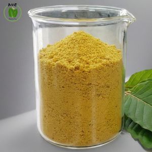 สมุนไพรไทยพิเศษ ปิ๊กอัพ ไออี ไทย เฮอร์เบิล ไมท์ 80% ผงใบสกัดด้วยตัวทำละลาย เกรดยา บรรจุภัณฑ์สุญญากาศ ปลูกได้ทุกฤดู ปลูกที่เมืองขอน - Product Image 5