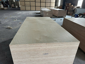 Contrachapado de abedul 4x8 de fábrica vietnamita, grado D/DD, certificado E0 E1 CARB P2 para fabricación de muebles y paneles interiores - Product Image 5