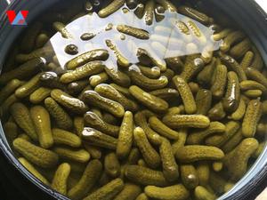 Specializing in Exporting <b>Pickled</b> Cucumbers Size 3-7cm Packed in Cans and Drums in Large Quantities at Factory Prices/ Ms. Lima - Product Image 4
