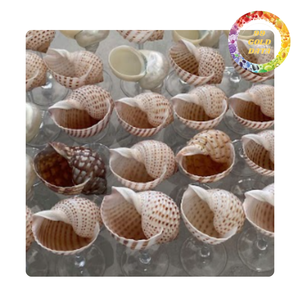 Handmade seashell wine glass natural shell <b>goblet</b> for wine cocktail and home decor supply - Product Image 2