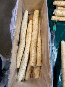 Yam chinois de qualité supérieure, texture riche et dense, légumes frais d'exportation - Product Image 5