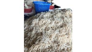100% Algas Eucheuma Cottonii orgánicas secadas al sol de Vietnam sin sal agregada listas para exportar en Gold Data 99 - Product Image 5
