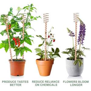 Bâtonnets d'électroculture en cuivre pur faits à la main pour l'activation du sol en jardinage biologique et l'amélioration naturelle de la croissance des plantes - Product Image 5