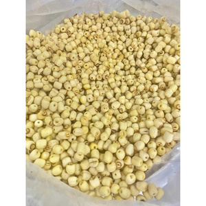Graines de lotus séchées de haute qualité séchées au soleil du Vietnam pour l'exportation utilisées dans la cuisson et la cuisson facile par 99 Gold Data - Product Image 5