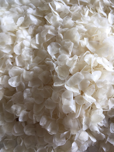 Escamas de pescado secas cuidadosamente limpiadas y secas para aplicaciones industriales de gelatina de colágeno Material de exportación Origen de Vietnam - Product Image 2