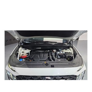 Para Hyundai Santa Fe 2.5T 2WD Gasolina, Modelo Abril 2022, con 59,768 km, Volante a la Izquierda, Emisión Euro V, Asientos de Cuero, Cámara Trasera - Product Image 6